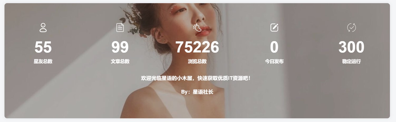 图片[4]-子比主题添加底部统计信息模块小工具-朝晞小屋